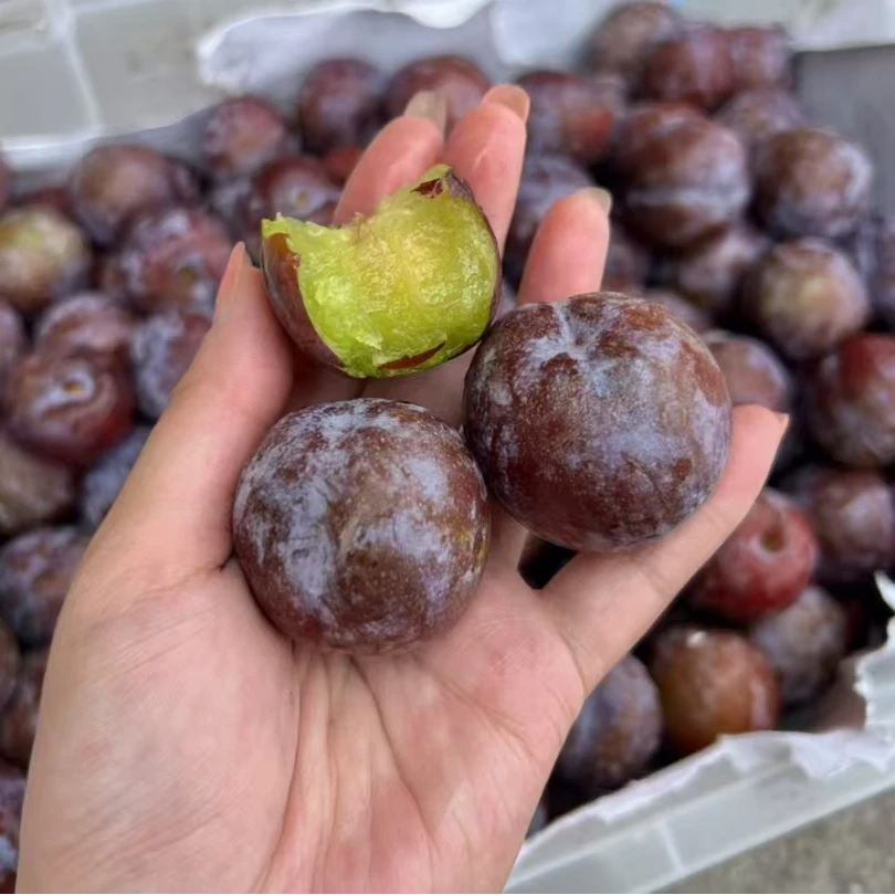 《表妹严选》甜德扣云南蜂蜜五月脆 脆甜爽口 冰镇后口感会更好