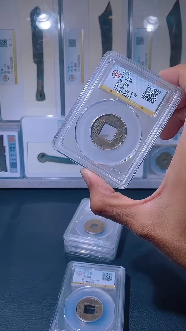 铜琪珍  汉五铢   一枚