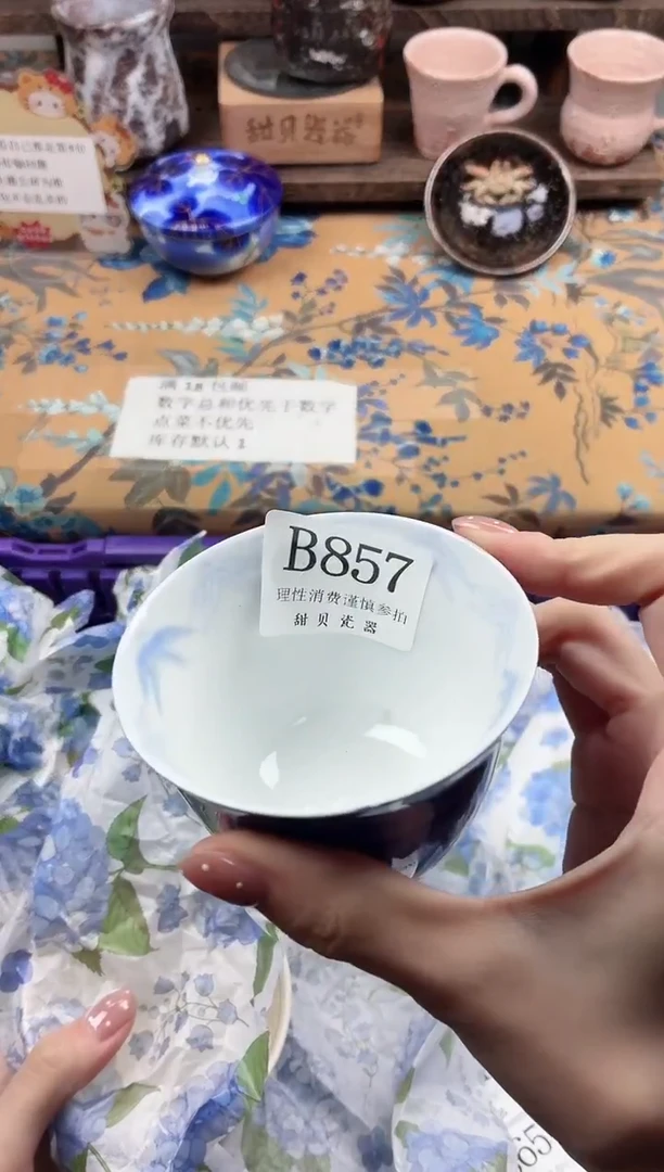 瓷片                B857