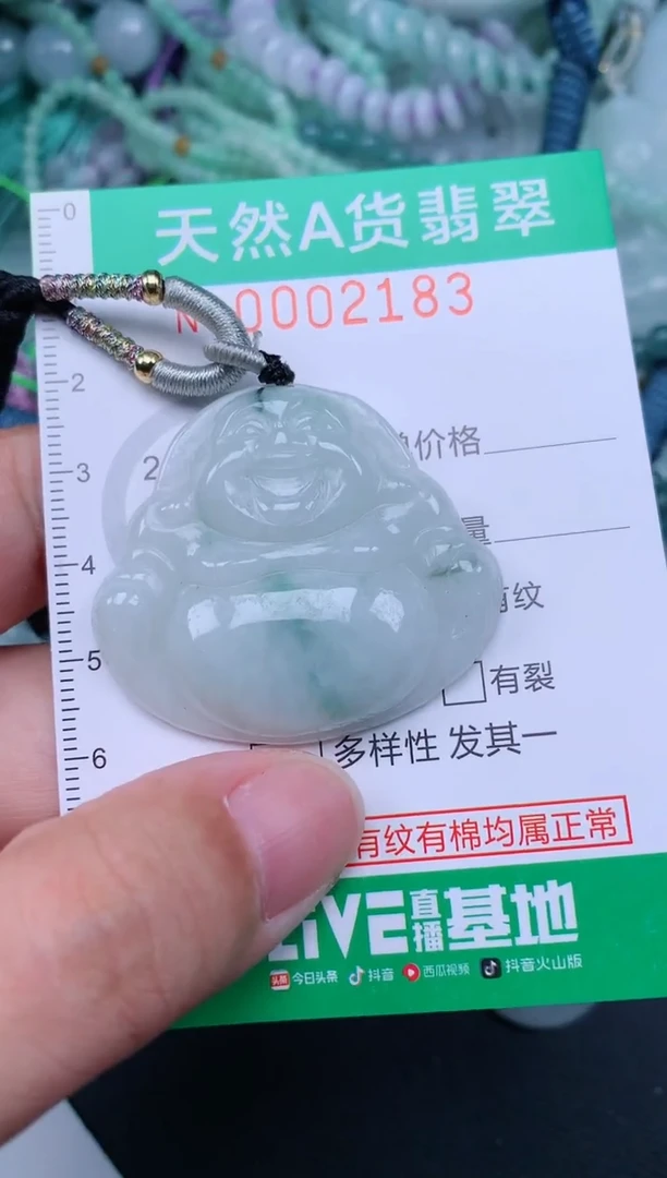 翡翠未镶嵌颈饰.0002183