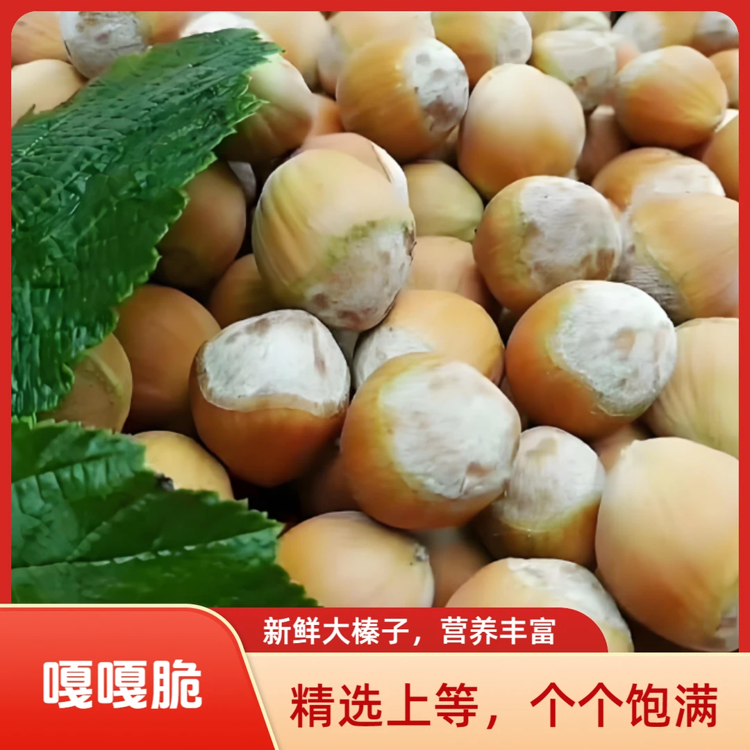 【去皮达维鲜榛子】手工脱皮自然生态成长成熟脱皮鲜榛子（顺丰包邮）