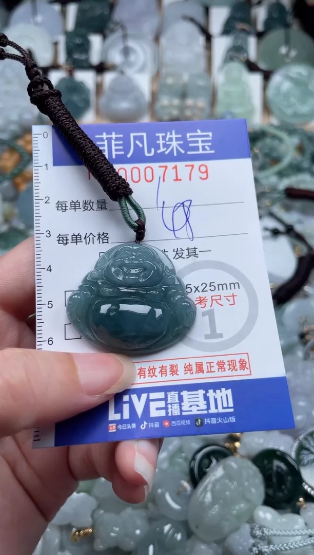 翡翠未镶嵌颈饰00..7179