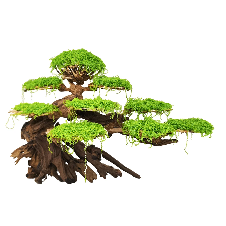 莫斯树生命之树草缸水草沉木鱼缸造景迎客松树桩杜鹃根紫柚木摆件