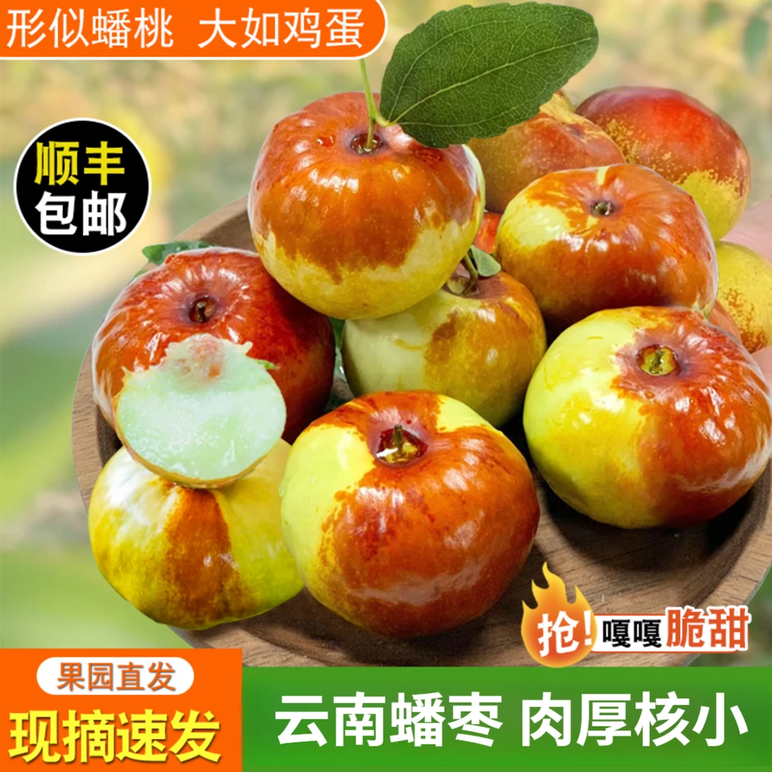 【顺丰特快】云南蟠枣新鲜大潘枣脆甜非大荔冬枣应当季孕妇水果礼盒