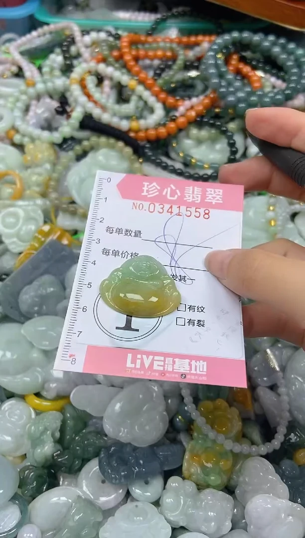 颈饰未镶嵌翡翠闪购0341558