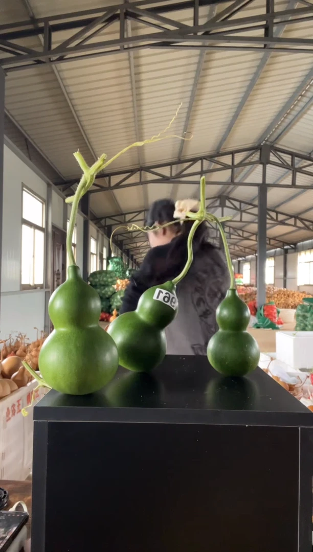 绿****️961天然葫芦摆件 一物一拍龙头不保售后连枝