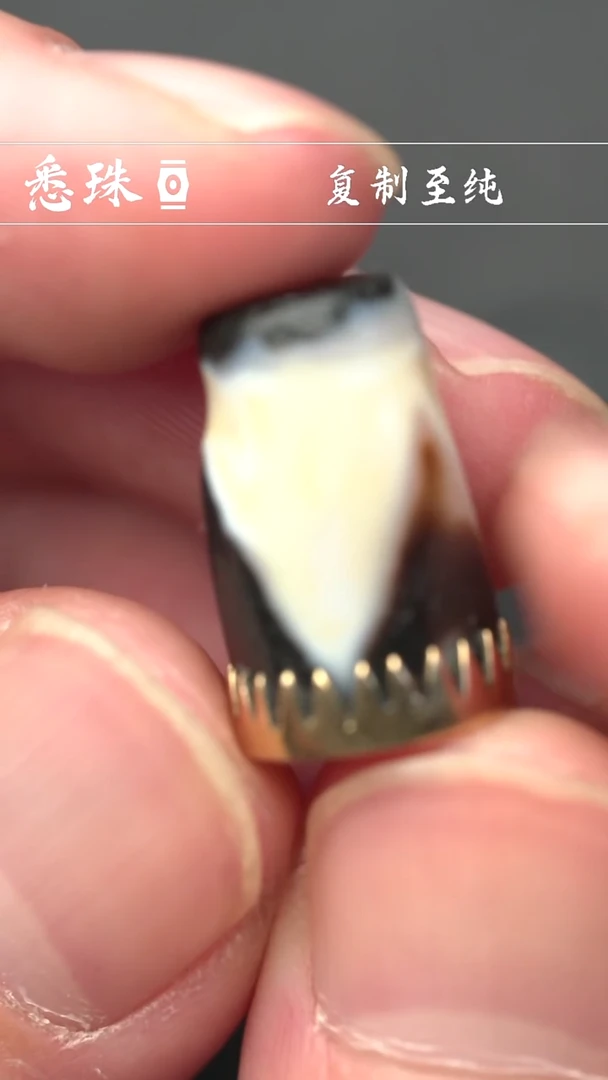 -千年至纯天珠- 虎牙 假一赔四