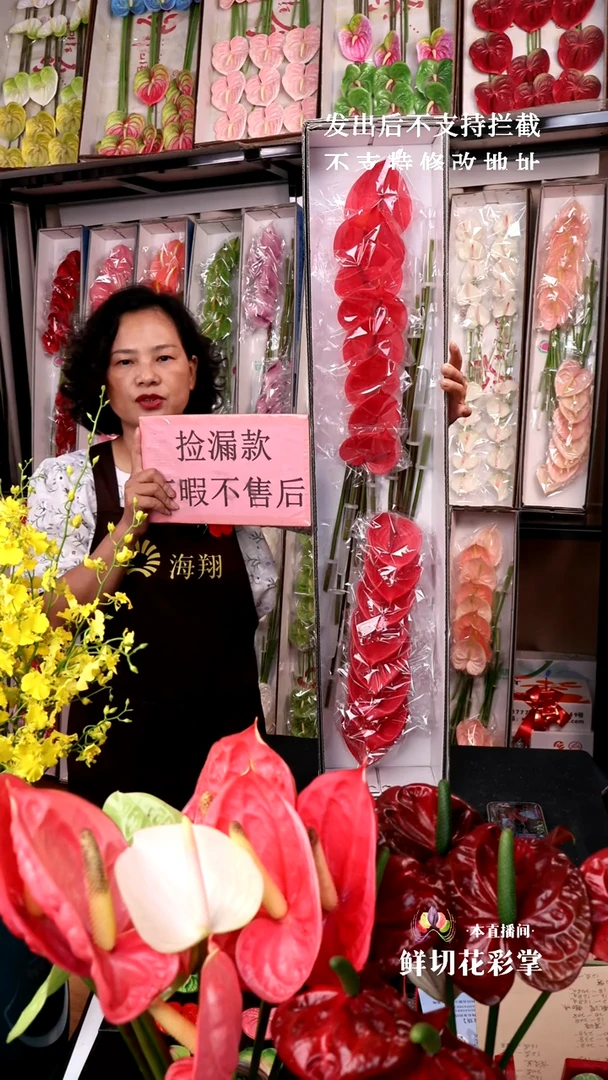 完全开放塞拉图16支小掌148，微瑕无售后