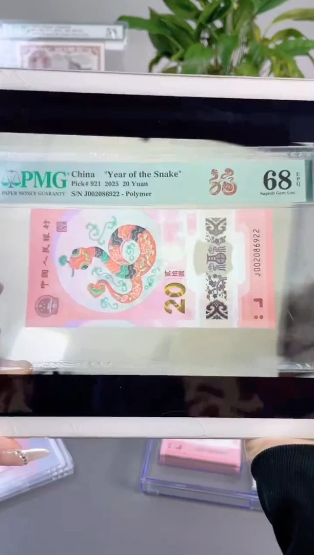 塑料蛇钞龙珠 68分 J002086922