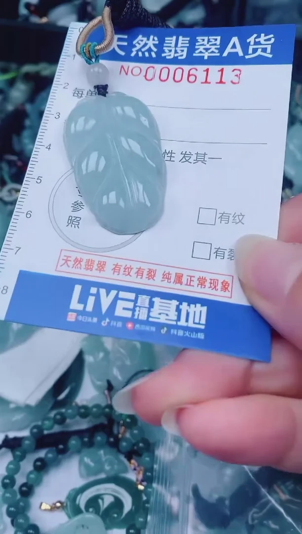 颈饰未镶嵌翡翠00006113