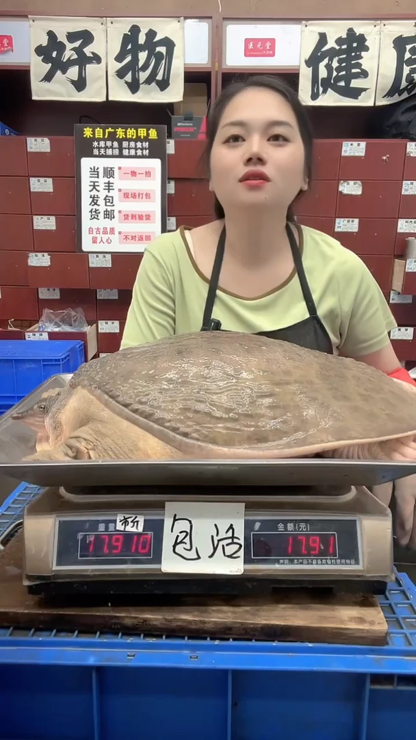 中国大陆用****517.9斤一只