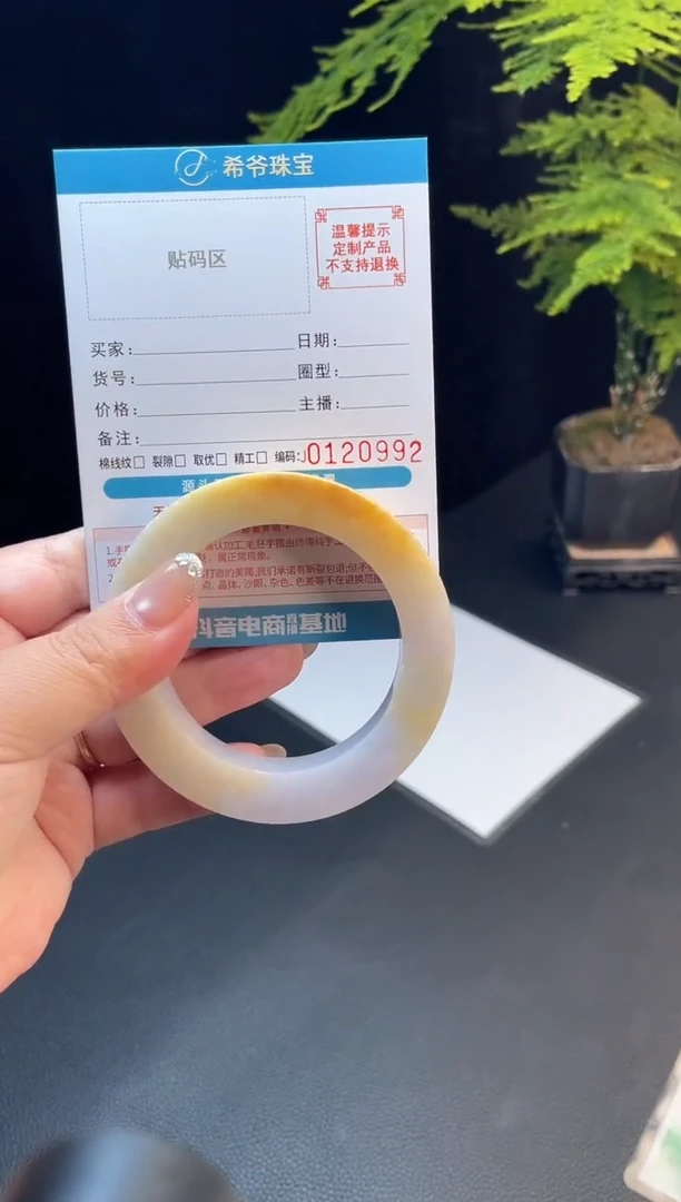 未镶嵌手镯定制翡翠沉**语手镯