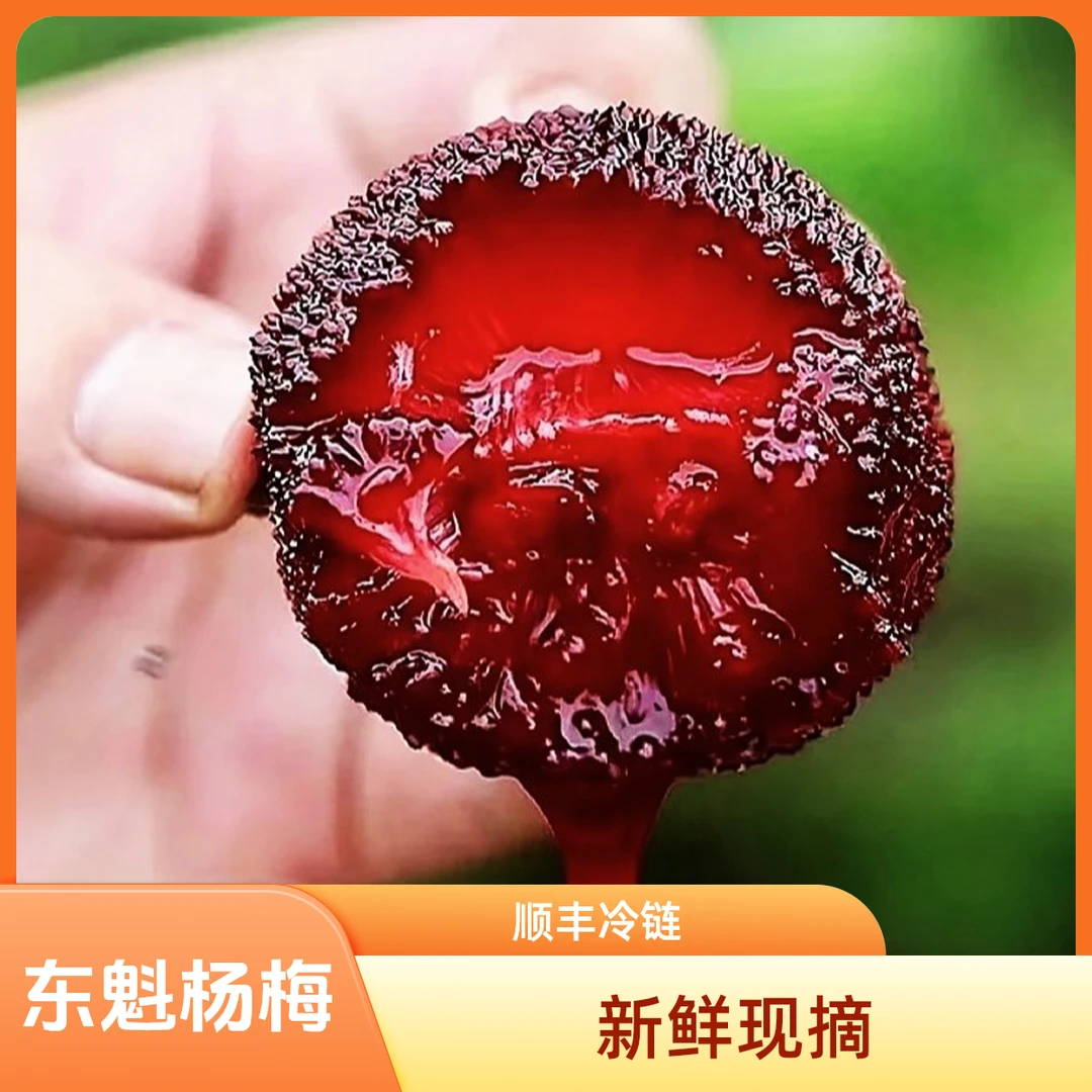 仙居正宗【东魁杨梅】9A大果顺丰冷链新鲜现采现摘送礼礼盒装