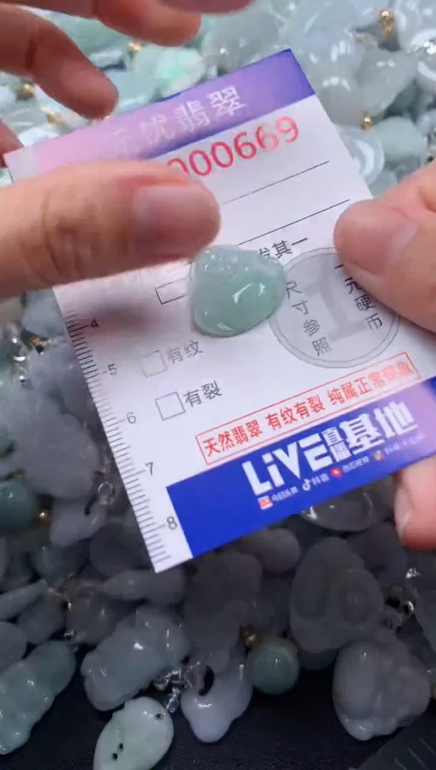 颈饰未镶嵌翡翠669