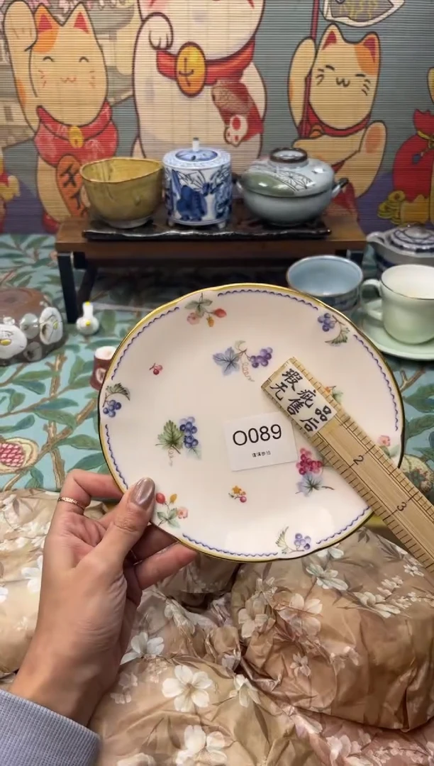 瓷片?****?      O089