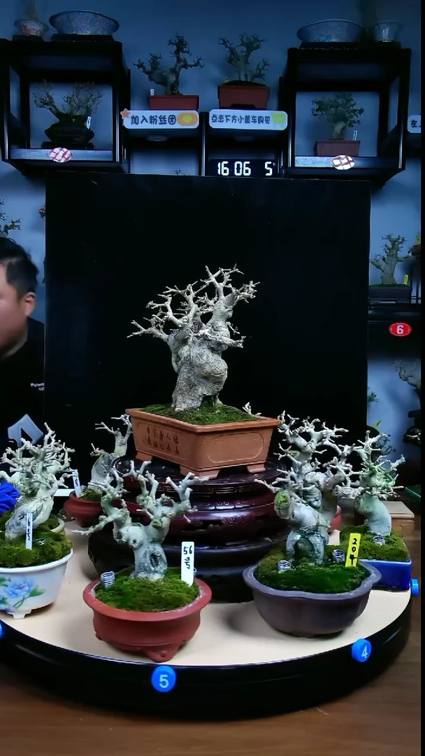 完全开放gggggggggg