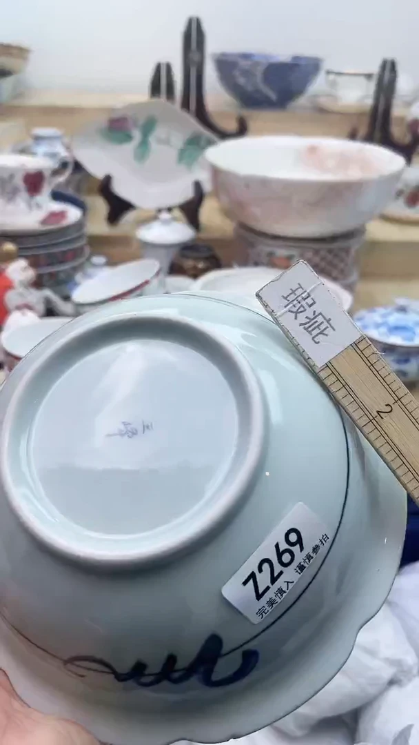 【闪购商品】瓷片269