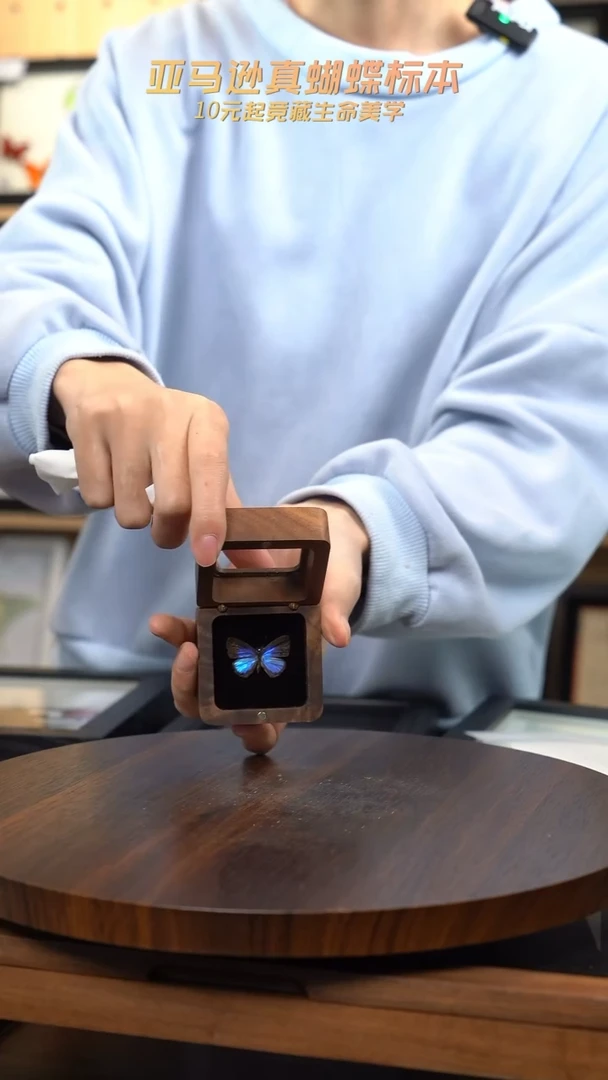 雅灰蝶胡桃木款