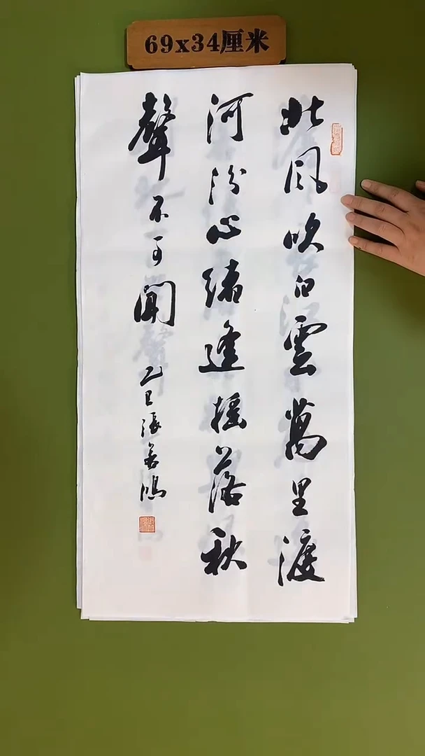 书法书法 张若鸿 尺寸69cm*34cm