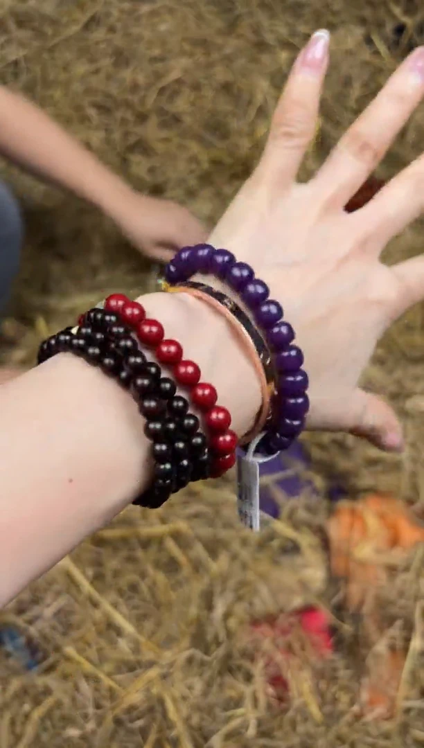 文檀精品手串《无礼盒》