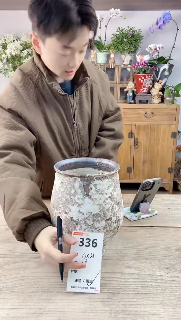 小玩子花盆直播编号336