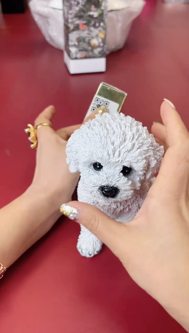 瓷片别算了真划算@@XQ1154