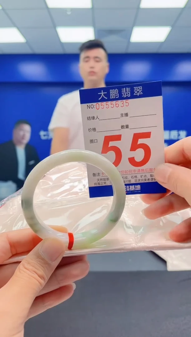 未镶嵌手镯翡翠AAAAAAAAA