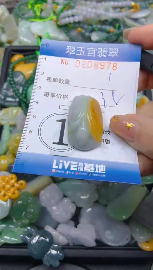 颈饰未镶嵌翡翠闪购C0208978