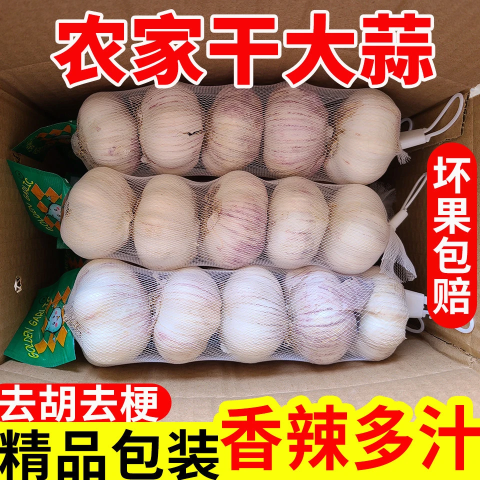 邳州大蒜头多瓣新鲜白皮厨房调味产区直发5.0大果一条5头网兜装