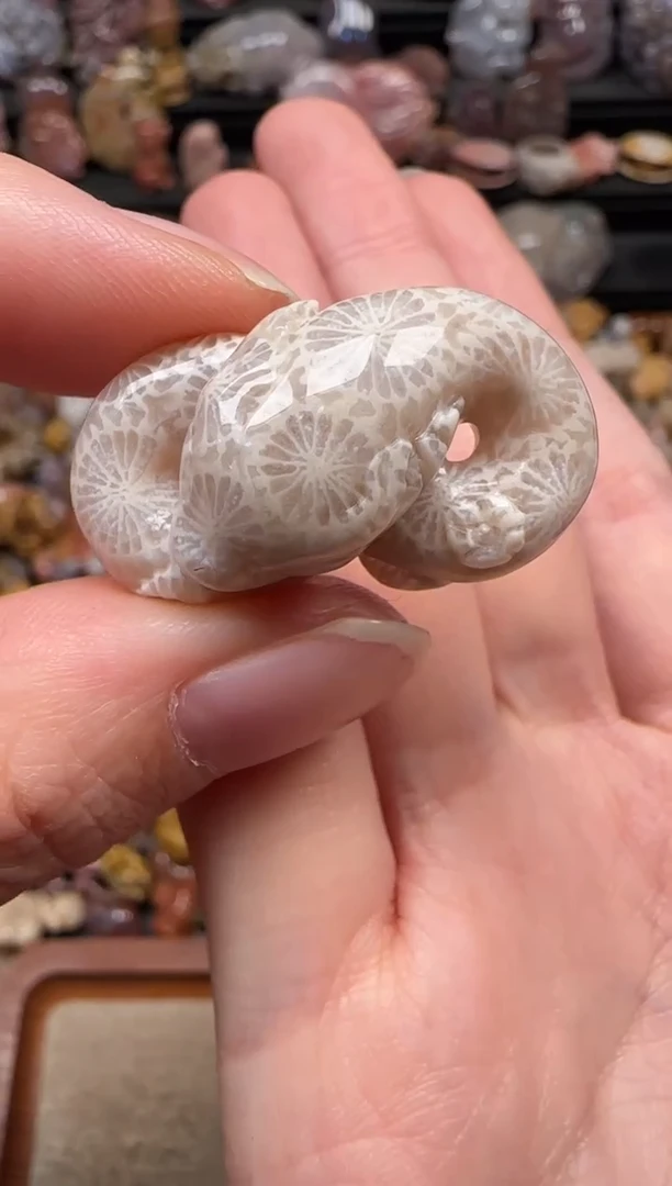 颈饰未镶嵌硅化珊瑚（珊瑚玉）888