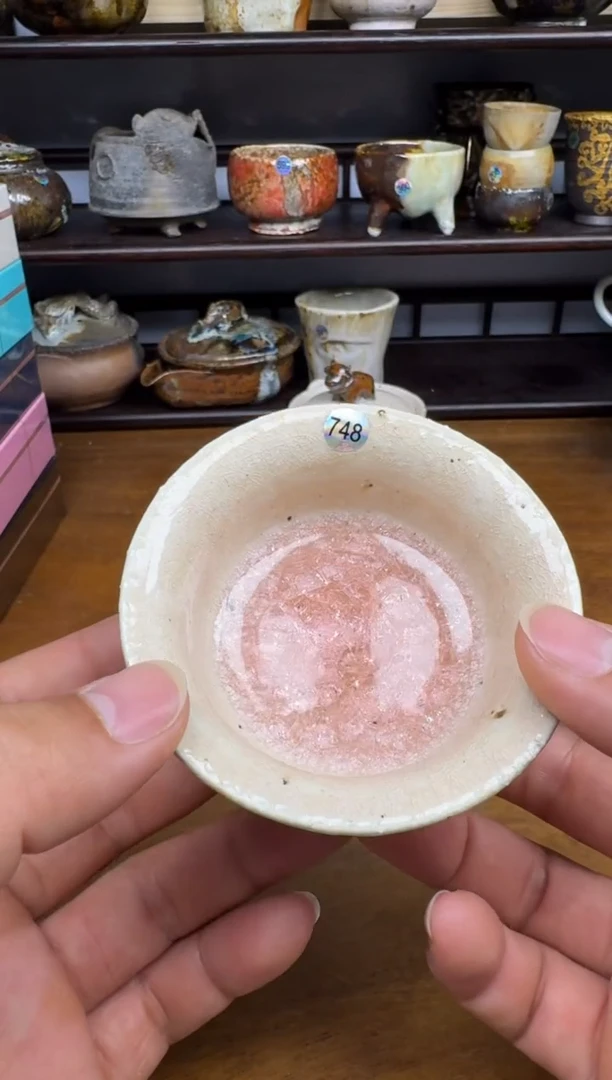 老柴叶烧不退不换748