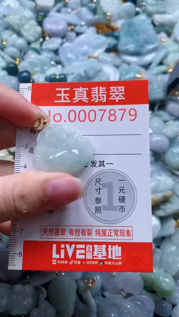 翡翠未镶嵌吊坠(不含链)7879