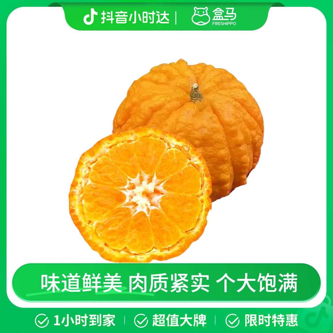 南瓜大桔 4粒装 600g