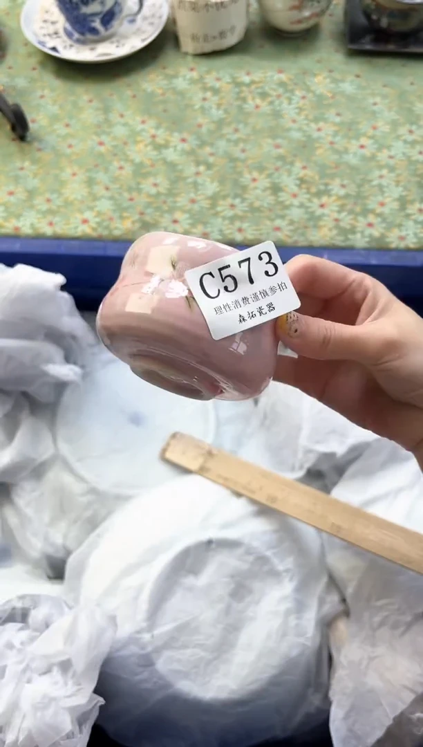 【闪购商品】瓷片          C573