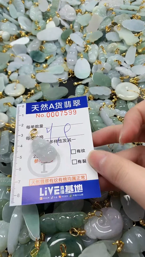 颈饰未镶嵌翡翠纯天然a货翡翠