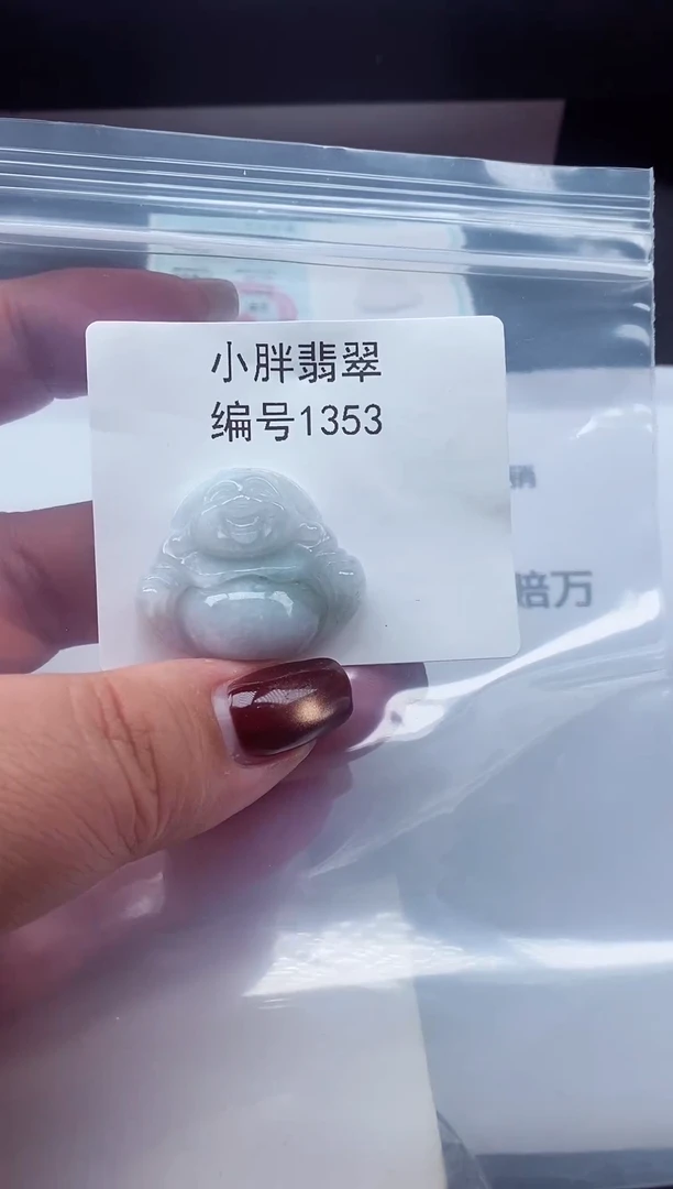 颈饰未镶嵌翡翠缅甸天然A货翡翠1353
