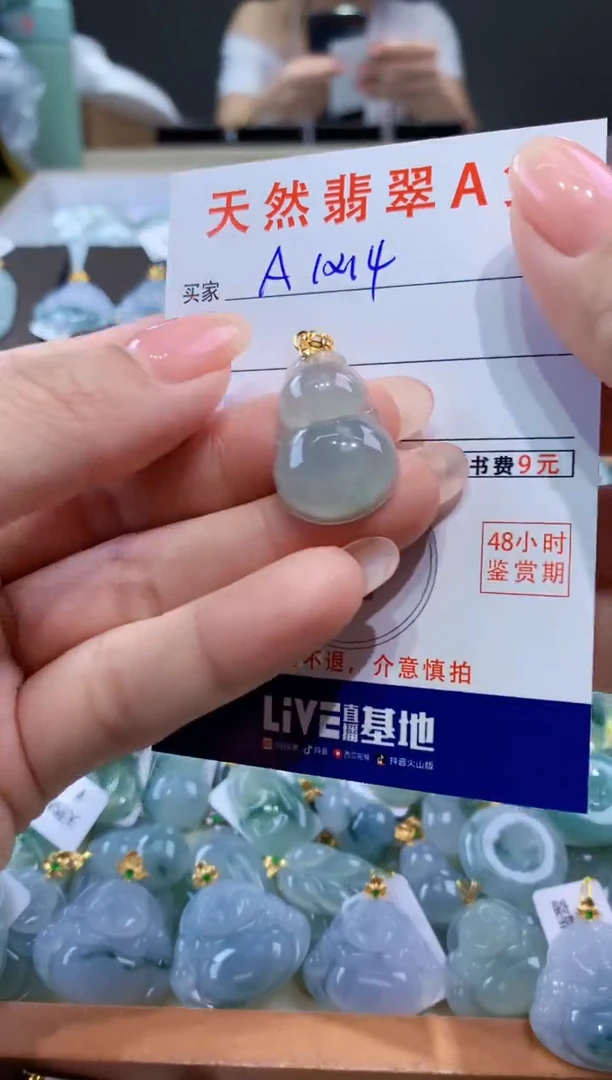 颈饰未镶嵌翡翠天然翡翠A货挂件