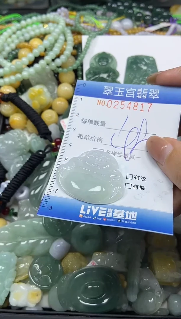 颈饰未镶嵌翡翠闪购C0254817