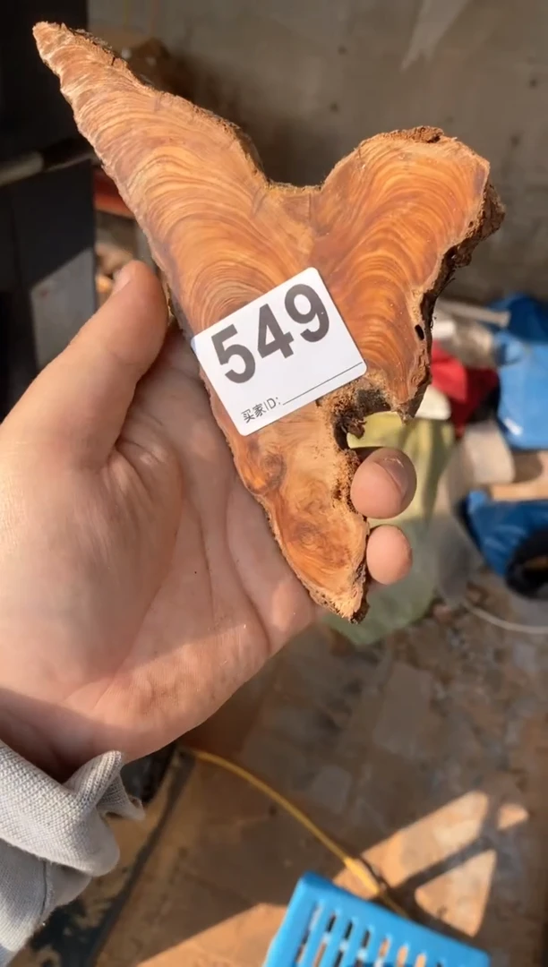 【闪购商品】柏木太行陈化崖柏（津诚林）切片