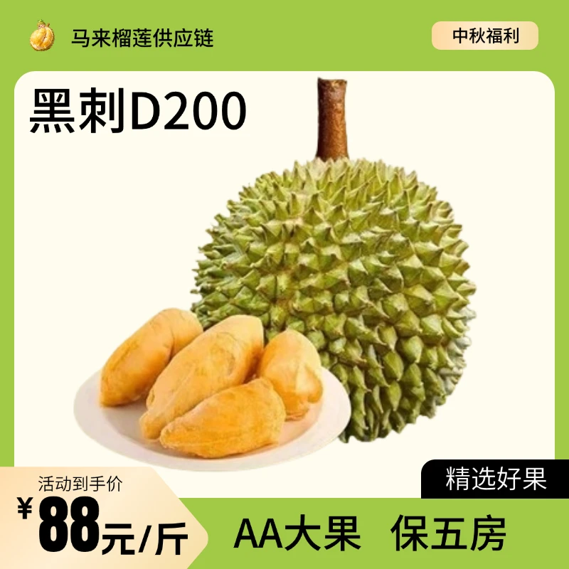 正宗马来西亚当季新果树熟自然掉落D200黑刺液氮榴莲