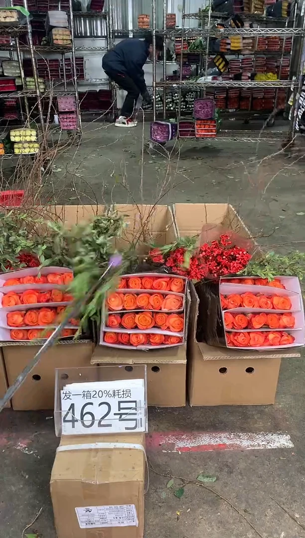 462号♥中通含20%耗损发一箱鲜花