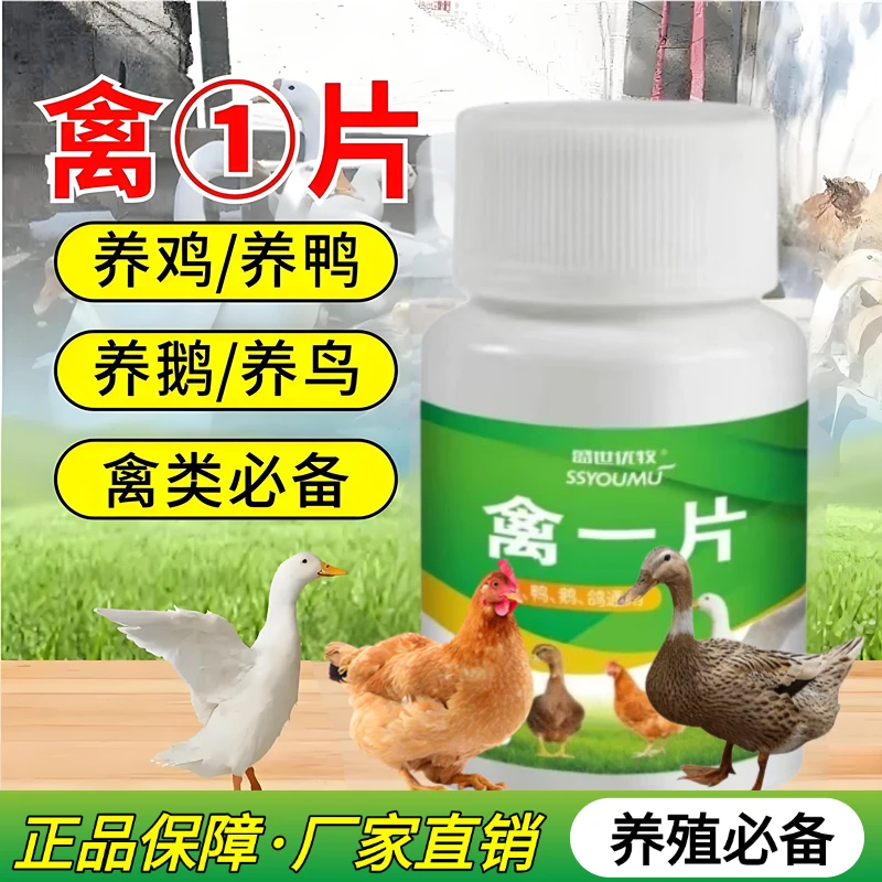 禽一片鸡鸭鹅鹌鹑鸽子禽类养殖通用畜牧正品厂家直销鸡饲料添加剂