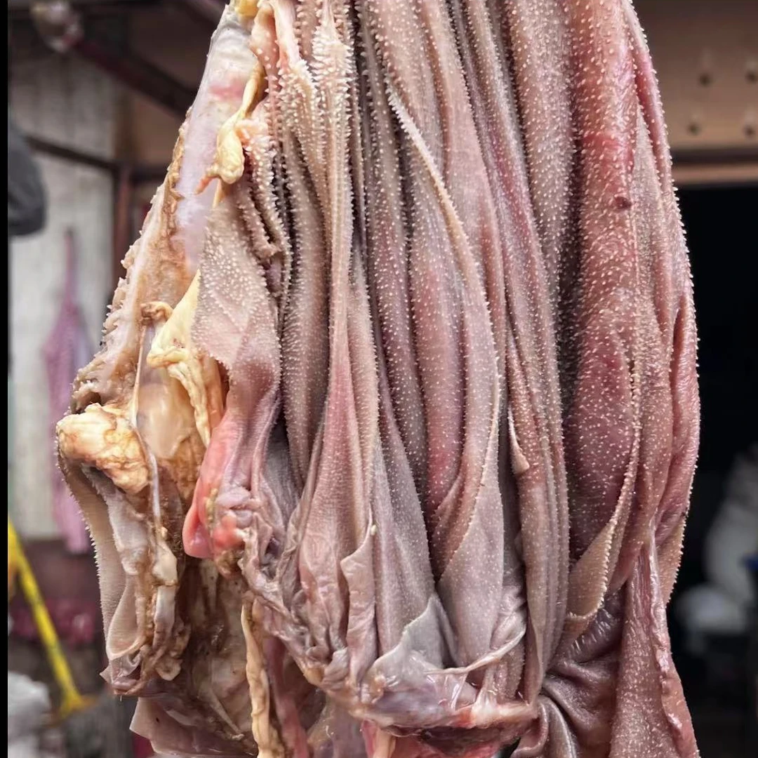 清真新鲜7成熟牛百叶 千层肚（凉拌，烫）