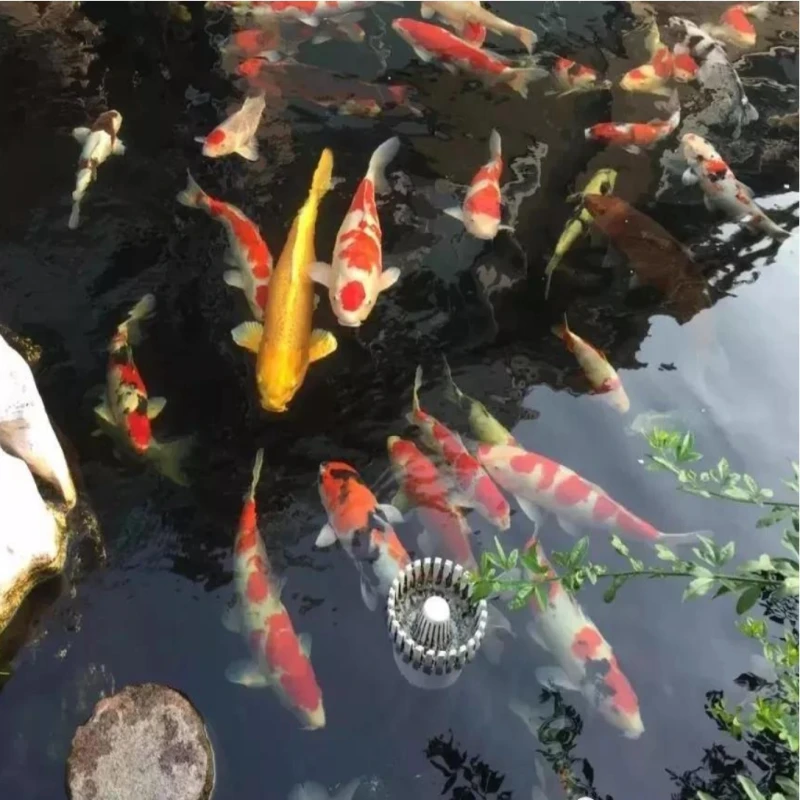 直播1号—100号专拍到货录开箱视频乱拍随机发