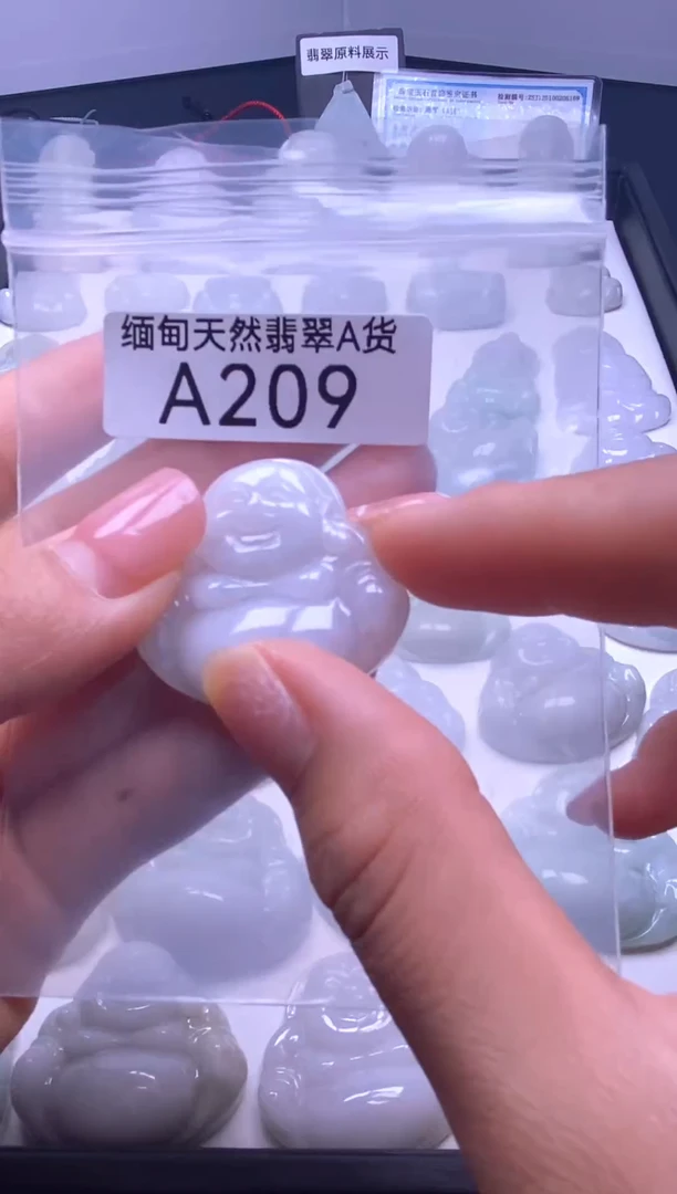 颈饰未镶嵌翡翠A209