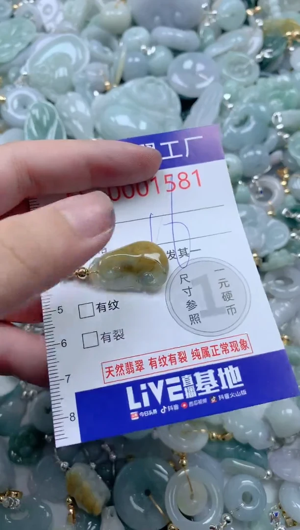 颈饰未镶嵌翡翠1581