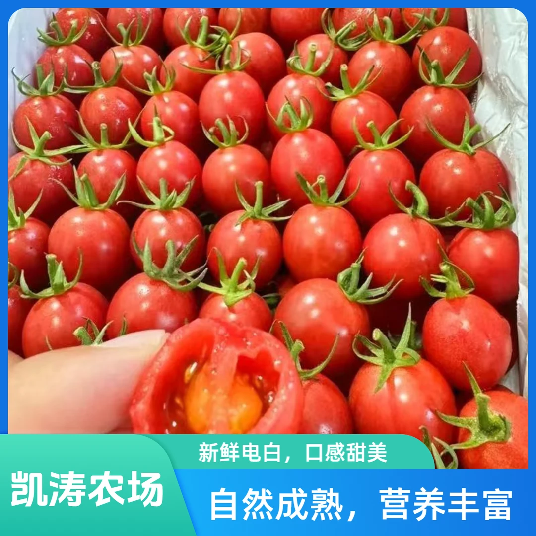 广东电白千禧圣女果小番茄2.5-3斤京东或顺丰包邮