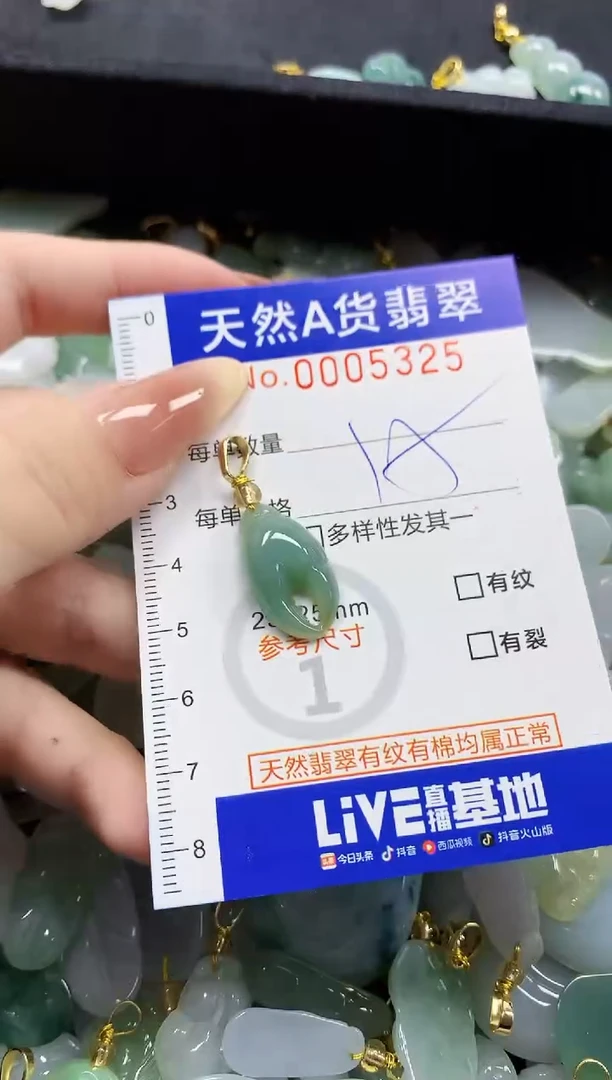 颈饰未镶嵌翡翠P***y天然A货翡翠