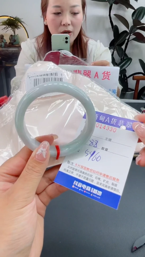 未镶嵌手镯翡翠0