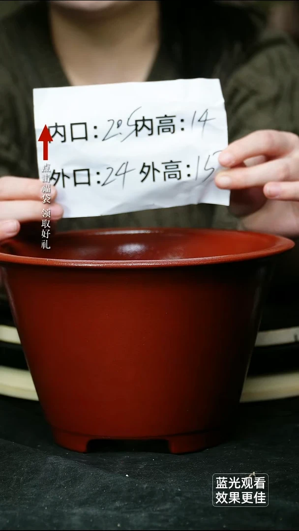 紫砂花盆瑕胭脂红斗笠一个无托